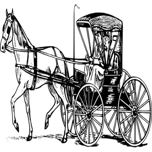 Buggy Ride