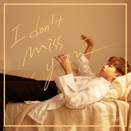 I Don't Miss You - Single
