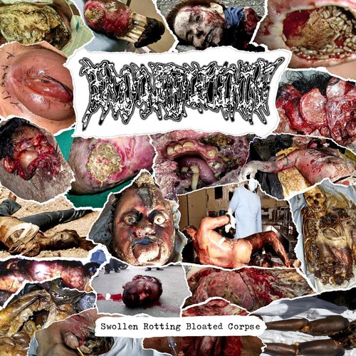 Swollen Rotting Bloated Corpse (Compilation) [Explicit]
