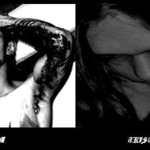 Bloody Melancholy — Life is Pain | Last.fm Bloody Melancholy — Life is Pain | Last.fm