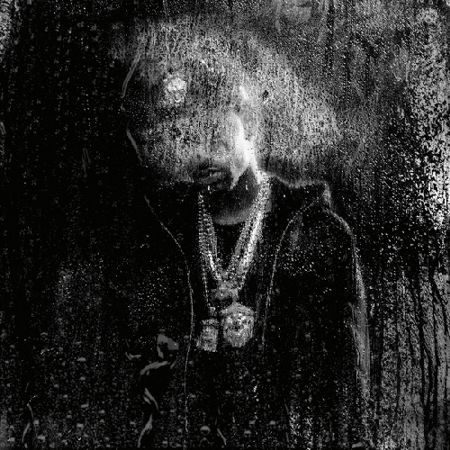 Dark Sky Paradise