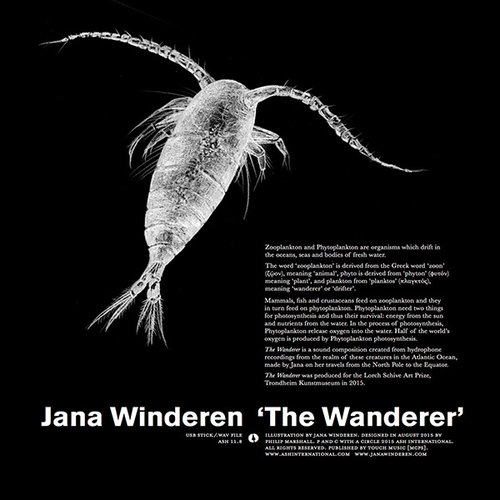 The Wanderer