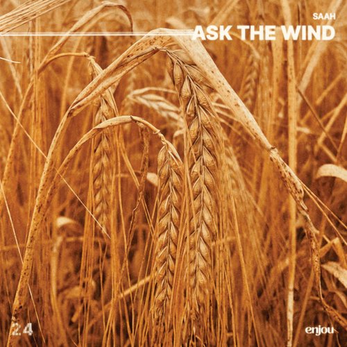 ask the wind
