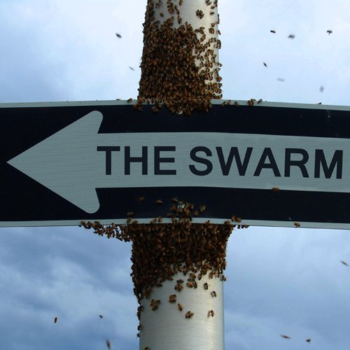 The Swarm