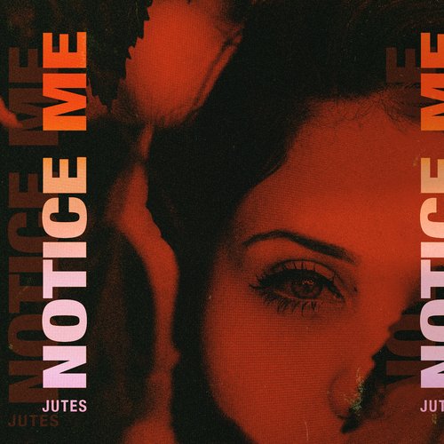 Notice Me - Single