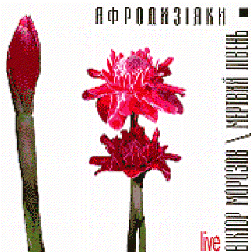 Афродизіяки