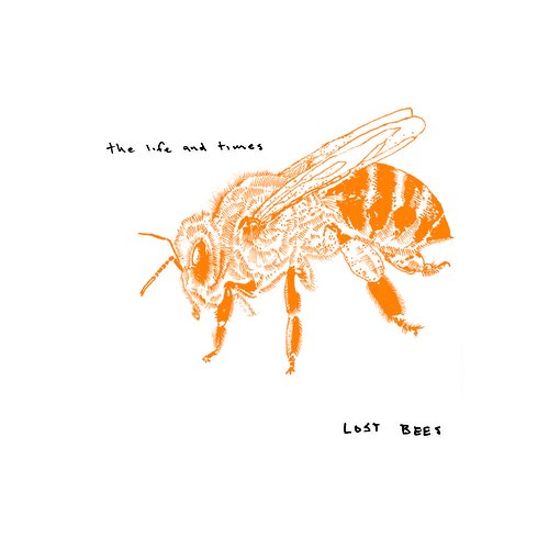 Lost Bees