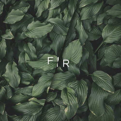 Fir