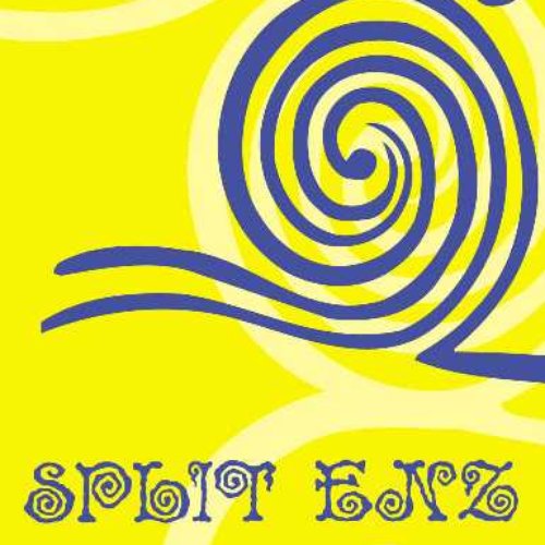 Split Enz