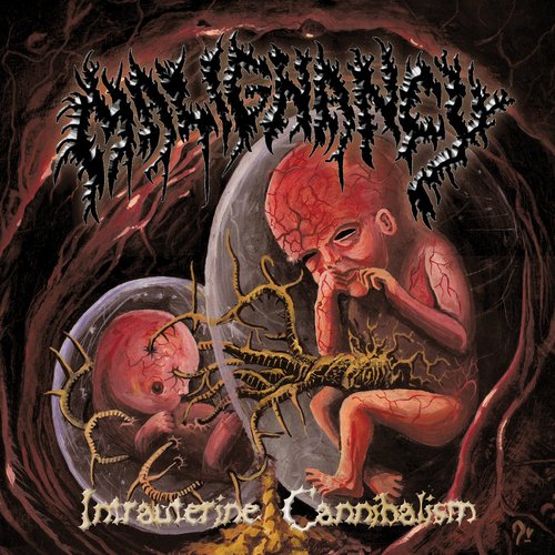 Intrauterine Cannibalism