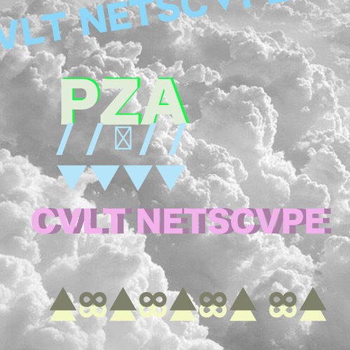 CVLT NETSCVPE
