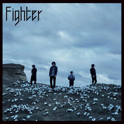 Fighter