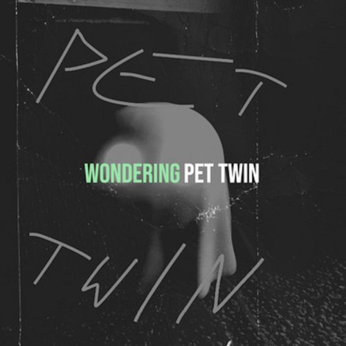 Wondering