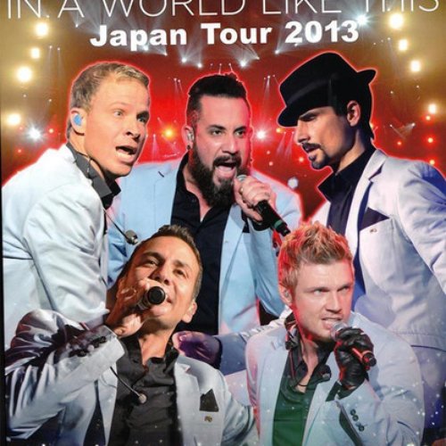In A World Like This Japan Tour 2013