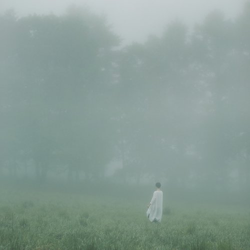 Yama No Asagiri
