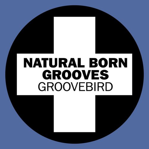 Groovebird