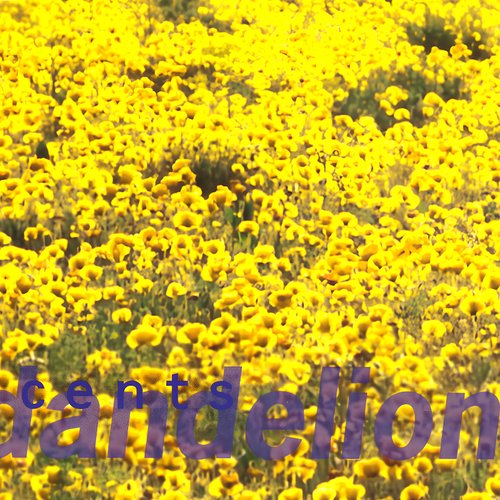Dandelion (EP) - EP