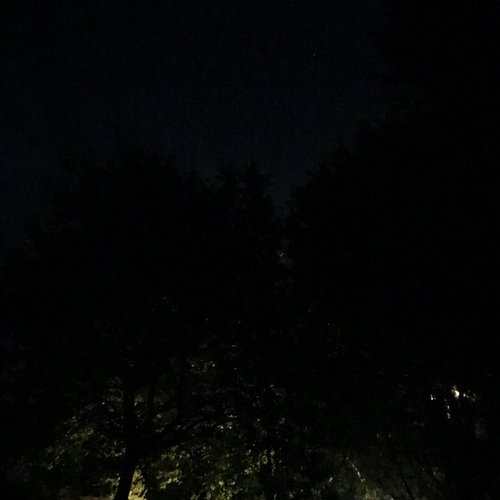 Shelter