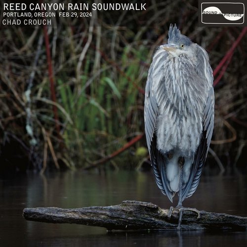 Reed Canyon Rain Soundwalk