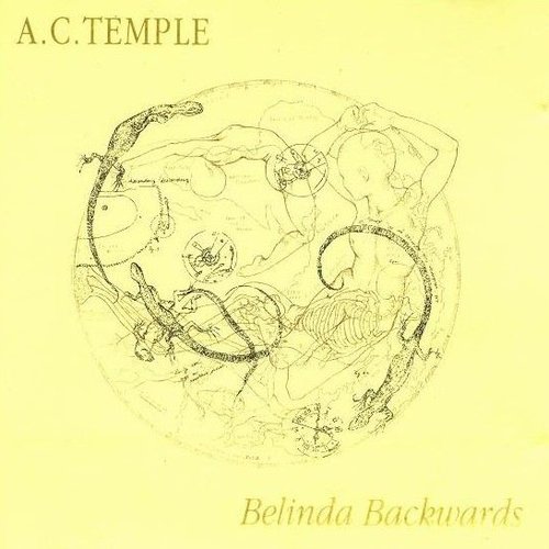 Belinda Backwards