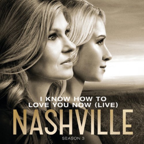 I Know How To Love You Now