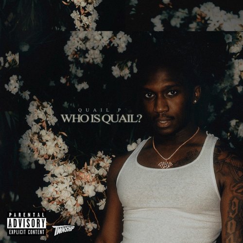 Who Is Quail?