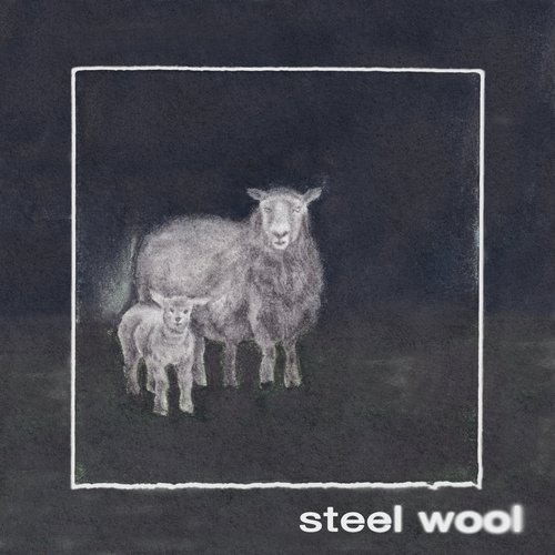Steel Wool