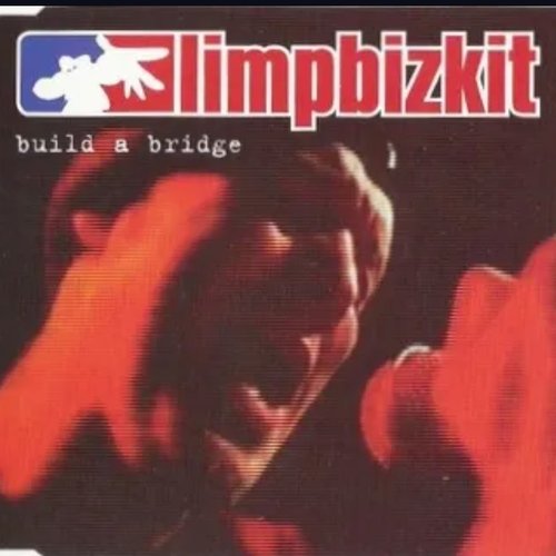 Build a Bridge