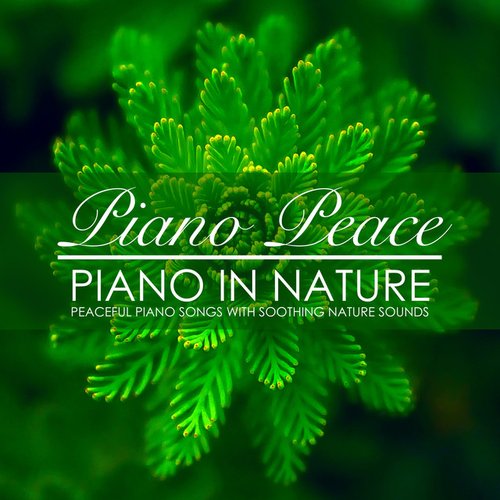 Piano in Nature