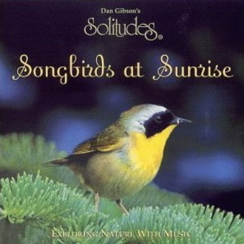 Solitudes: Songbirds at Sunrise
