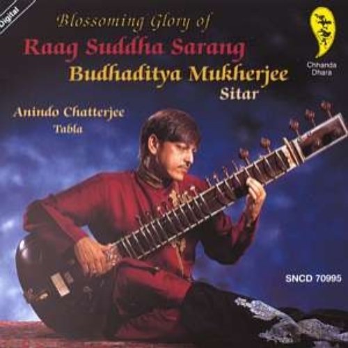 Raag Suddha Sarang