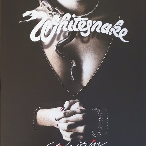 Slide It In (The Ultimate Edition)