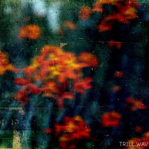 The Fall