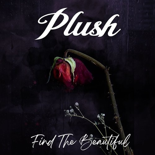 Find The Beautiful - EP