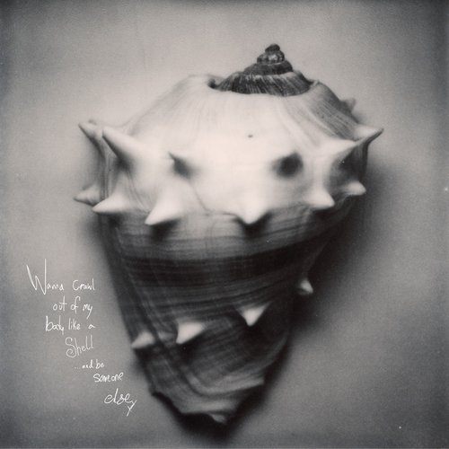 Shell