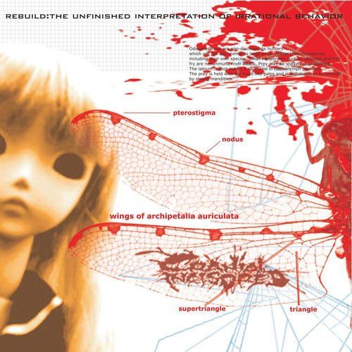 Rebuild : The Unfinished Interpretation Of Irrational Behavior