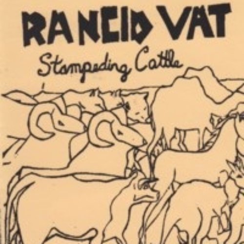 Stampeding Cattle