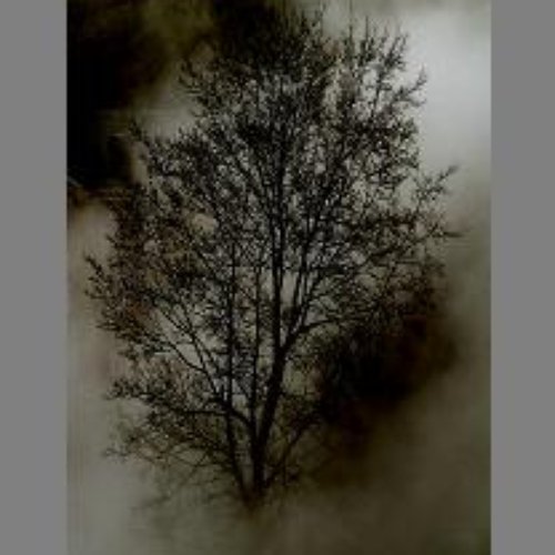 Myst IV