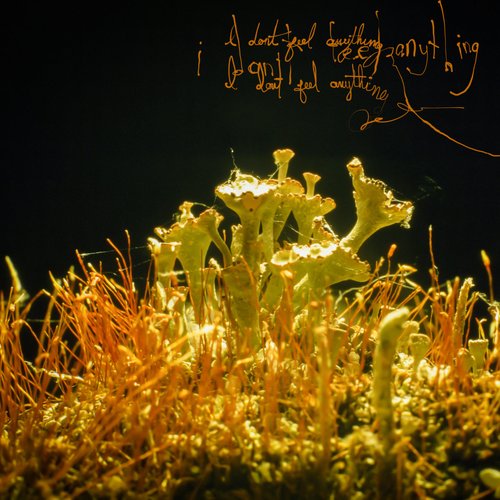 Flexible Lies - Single