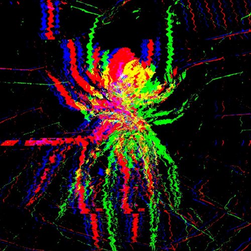 arachna