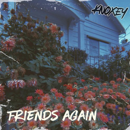 Friends Again