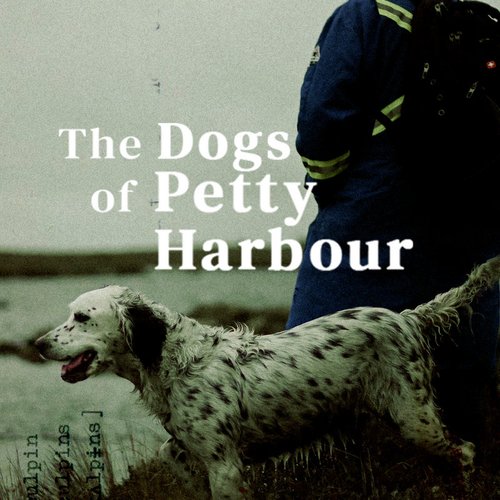 The Dogs Of Petty Harbour