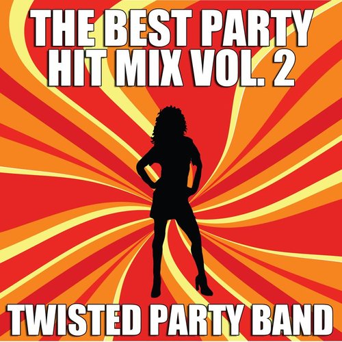 The Best Party Hit Mix Vol. 2