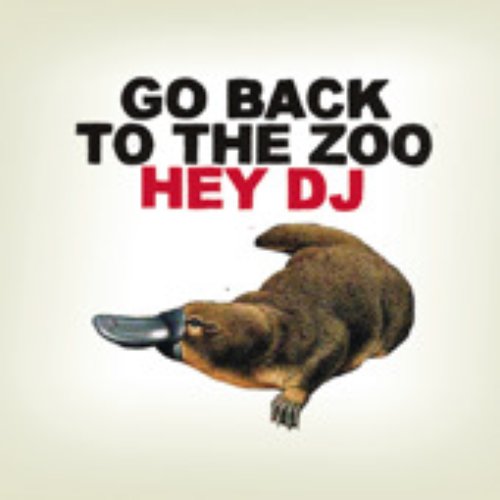 Hey DJ