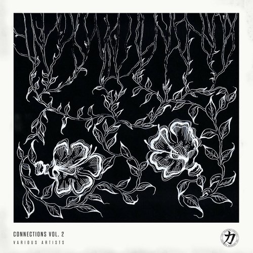 Connections Vol. 2