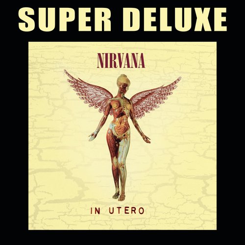 In Utero (20th Anniversary Super Deluxe)