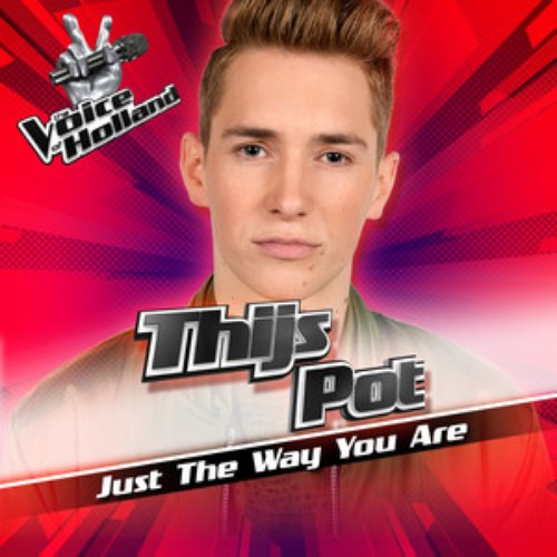 Just The Way You Are