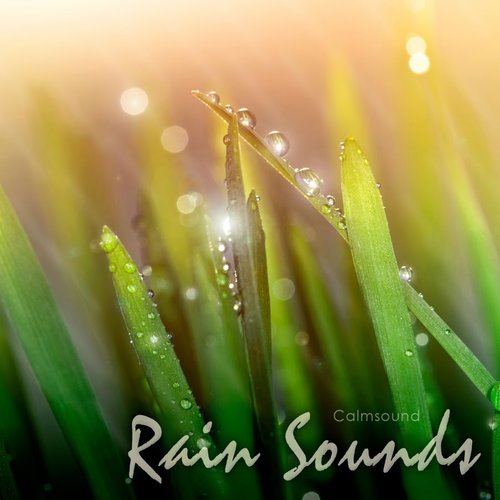 Rain Sounds