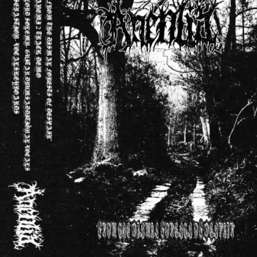 From The Dismal Forest Of Despair (DEMO)