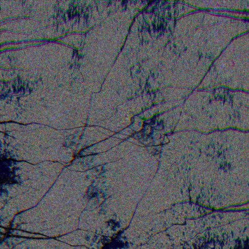 Black Mold